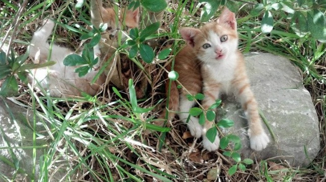 齿轮精妙转动分毫，穆勒于世界排名争夺夜化身时钟之心