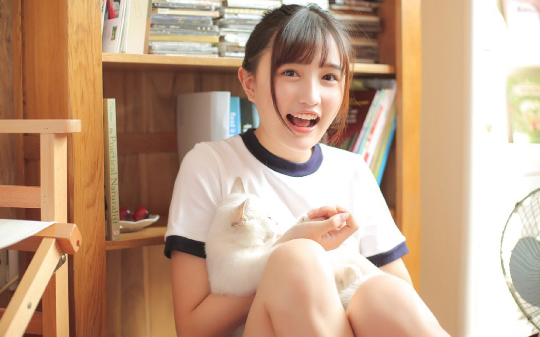 绿茵棋局中的唯一执子者，当阿拉巴式掌控决定皇家社会与拉齐奥的命运