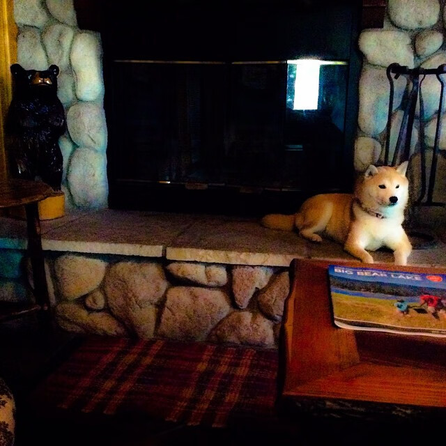 冰封王座的崩塌，雷恩加时赛神级一条龙，强行终结瑞士36年神话