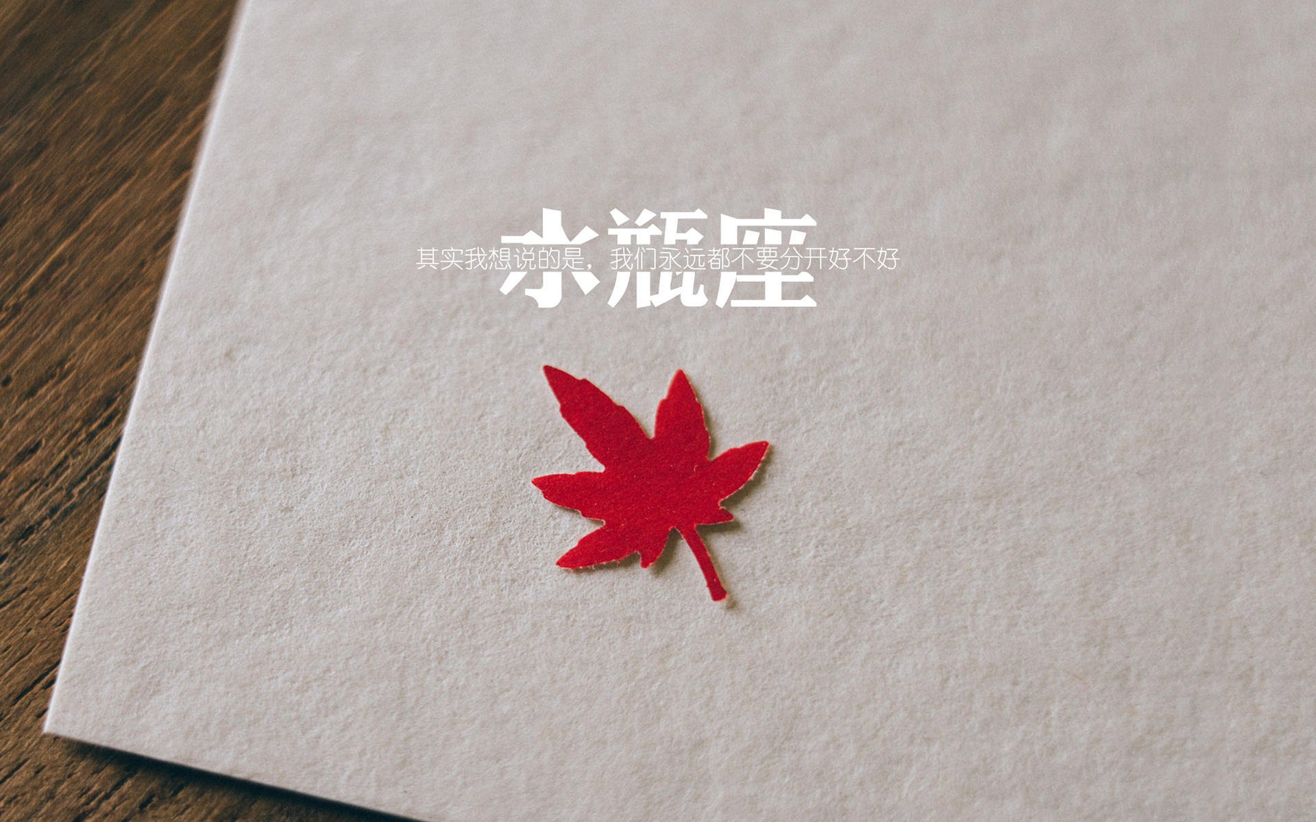 欧冠决赛焦点战的智慧，深圳队如何借鉴足球战术争冠战胜步行者