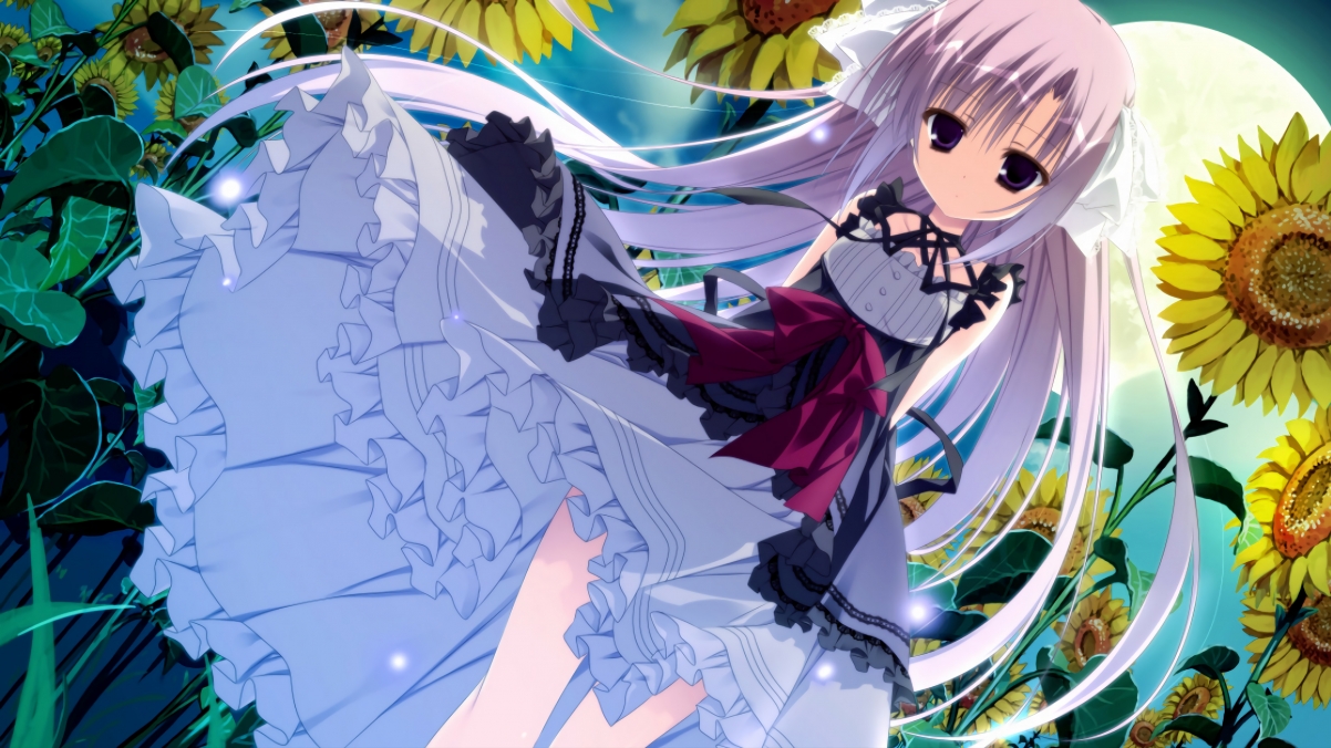 恒星支配与粒子冲击，篮球天体物理学下的太阳霸权与布伦森杀伤原理分析