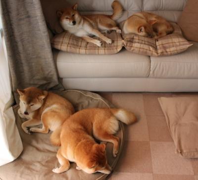 新西兰轻取巴拉圭，阿拉巴生涯之夜点亮绿茵场