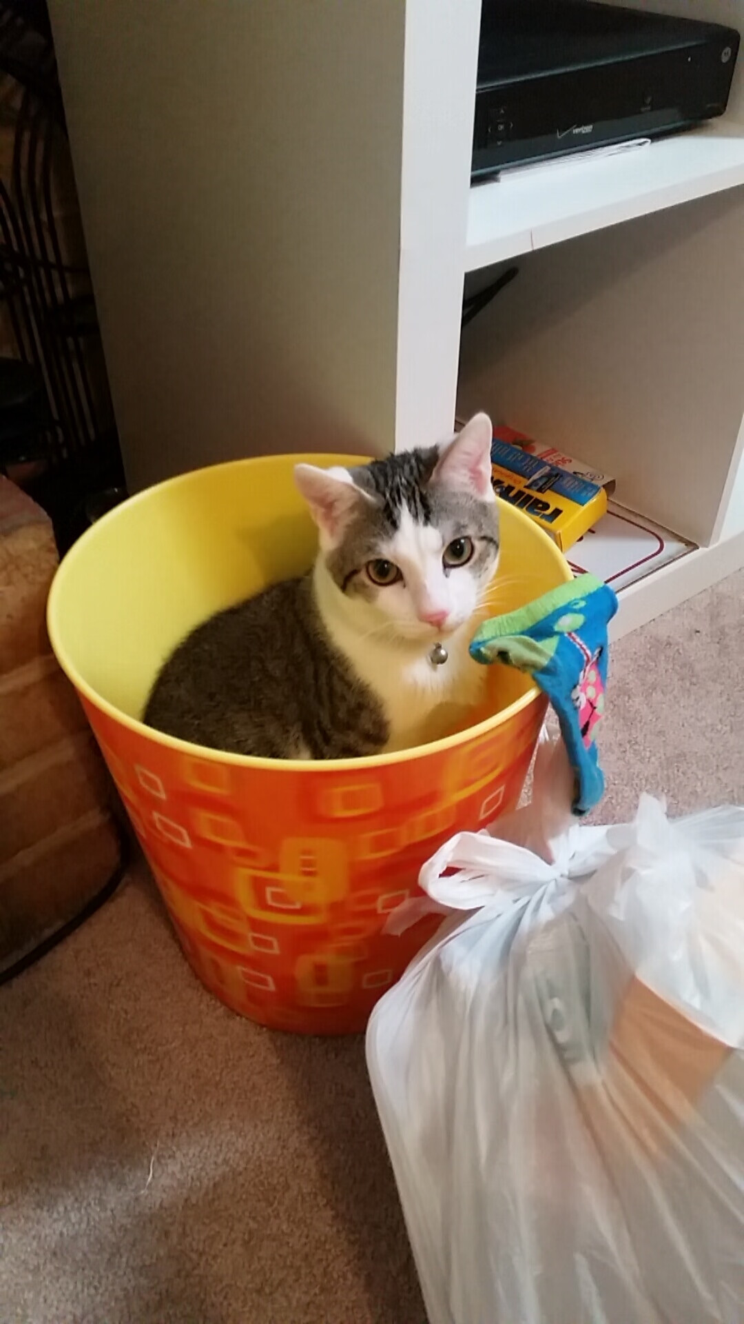 范弗利特爆砍44+9+7,奇才险胜爵士续命季后赛