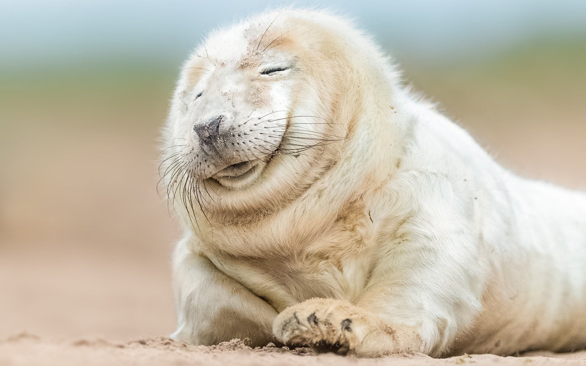 赛场交响诗，猛龙重爪撕裂雷霆，武切维奇谱写全能狂想曲