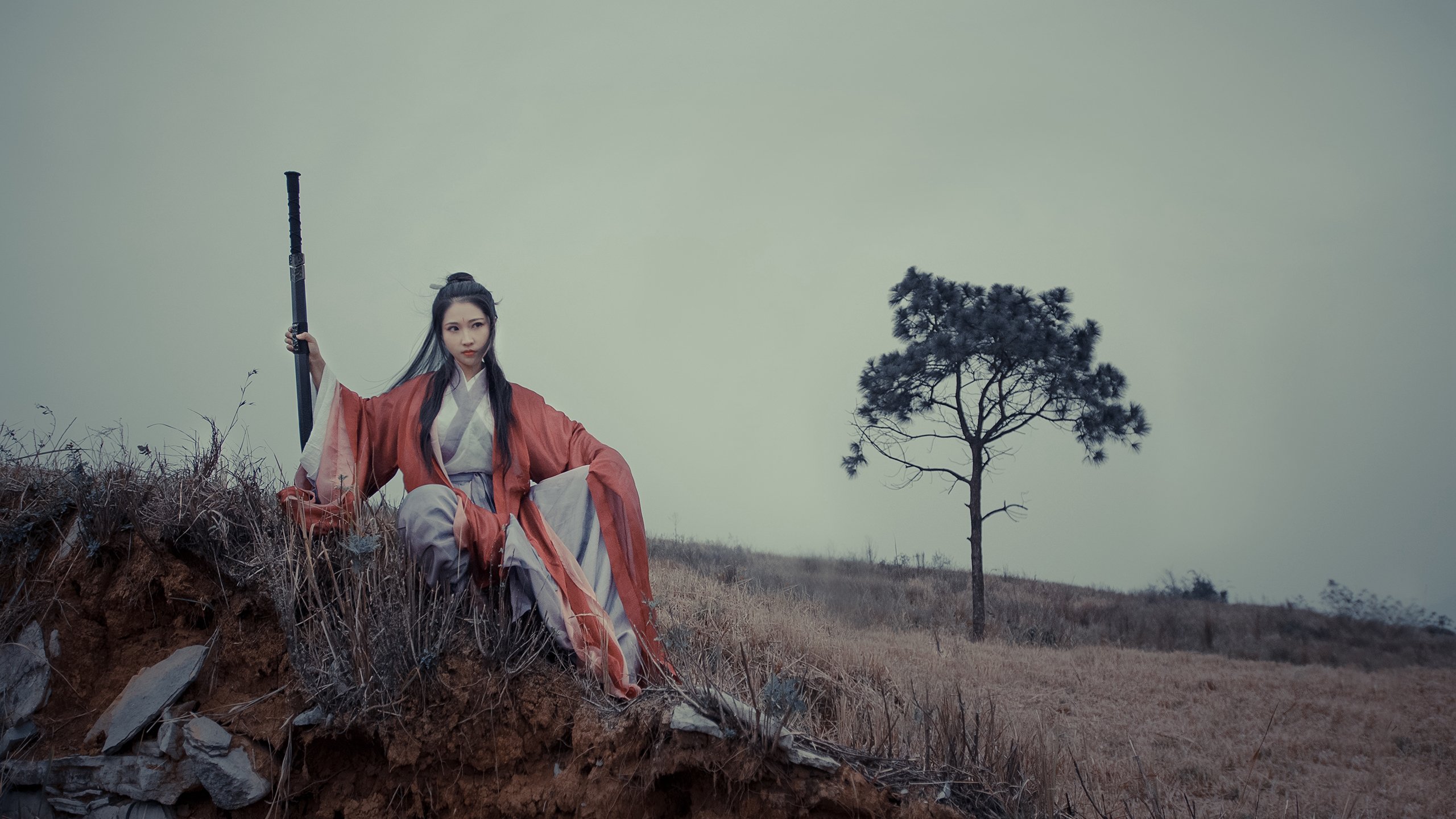 掌控与终结，哈利伯顿的艺术，鹈鹕的残暴