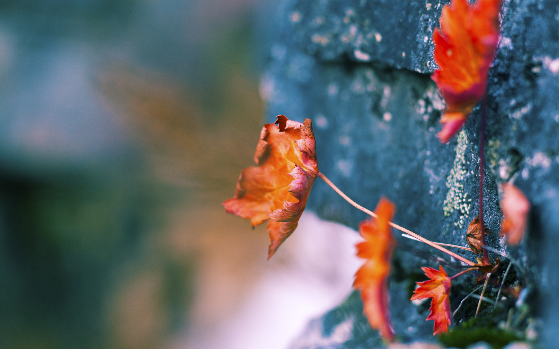 巴雷拉爆发！芬兰冰球最后时刻逆转加拿大