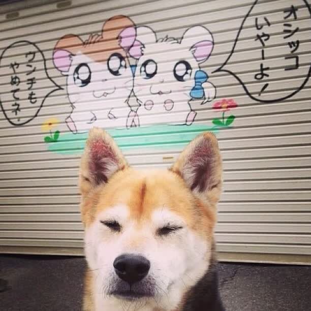 以下是为您构思的文章标题及内容