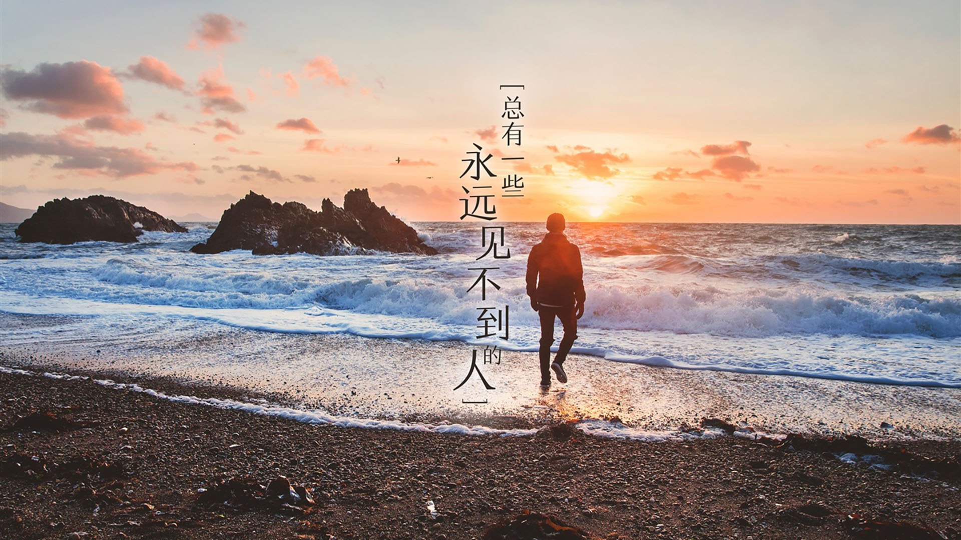 2026世界杯宿命对决,当加纳的铁骑踏碎历史预言,库尔图瓦用一双手改写了弱肉强肉的剧本